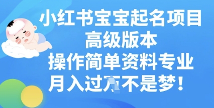 小红书宝宝起名项目高级版本，操作简单，资料专业，月入过W-钧信联科
