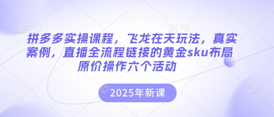 拼多多实操课程，飞龙在天玩法，真实案例，直播全流程链接的黄金sku布局原价操作六个活动-钧信联科