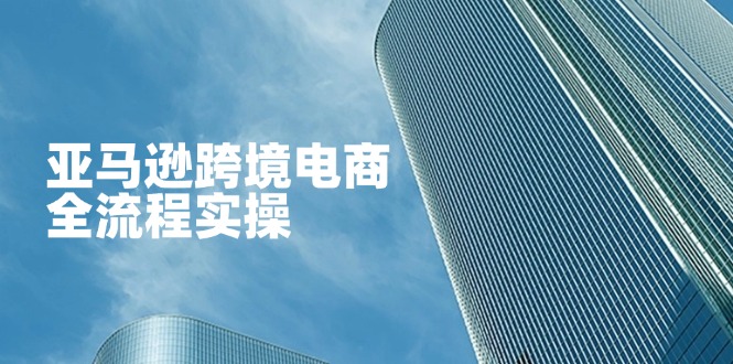 （14252期）亚马逊跨境电商全流程实操，教你从零开始，掌握店铺运营与广告技巧-钧信联科