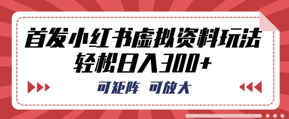 首发小红书虚拟资料玩法,可矩阵,可放大,轻松日入3张-钧信联科