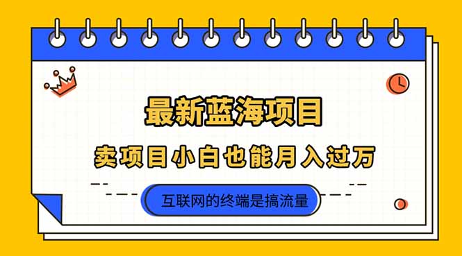 （14289期）2025年最新蓝海项目，卖项目小白也能月入过万-钧信联科