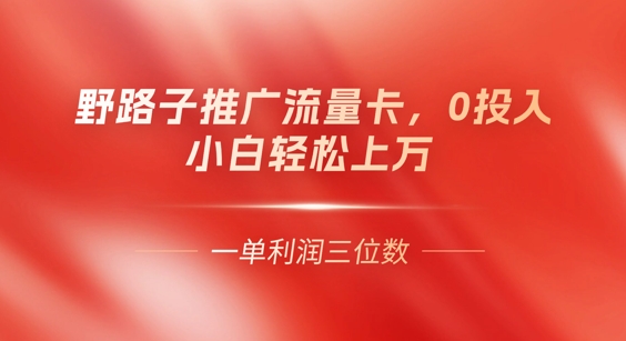 0门槛推广流量卡，一单收益上百，0投入，小白月入过W-钧信联科