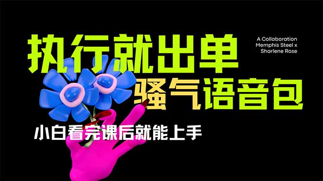 （14170期）爆火全网的开车导航骚气语音包,只要执行就出单，小白看完课程就能实操...-钧信联科