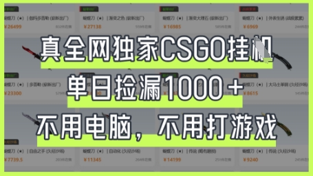 真全网独家CSGO挂G，单日捡漏1k+【揭秘】-钧信联科